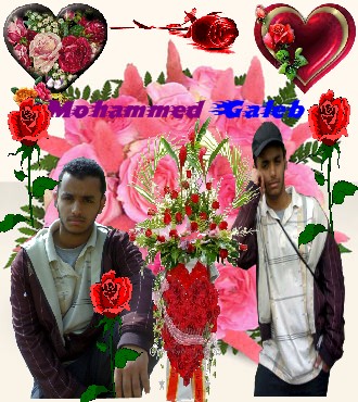 Mohammed Galeb 